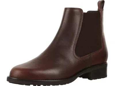 Sas Delaney In Brown