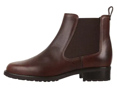 Sas Delaney In Brown