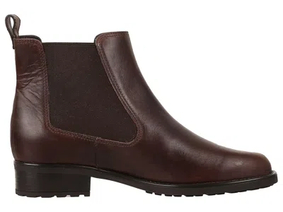 Sas Delaney In Brown