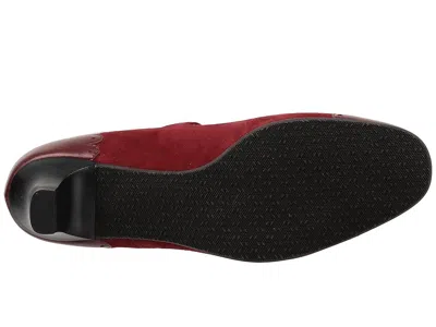 Sas Cate In Burgundy