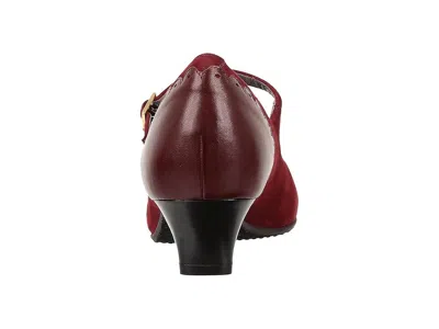 Sas Cate In Burgundy
