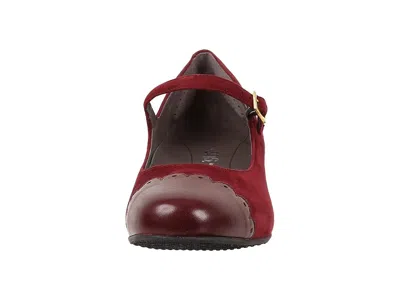Sas Cate In Burgundy