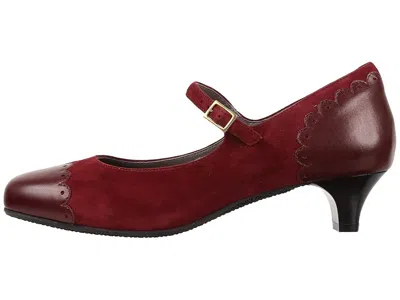 Sas Cate In Burgundy