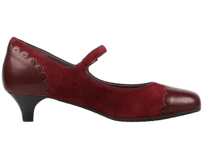 Sas Cate In Burgundy
