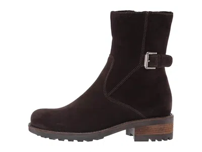 La Canadienne Camilla