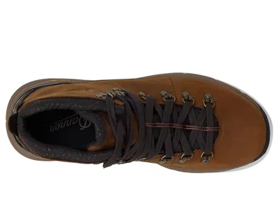 Danner Mountain 600 4.5 In Brown