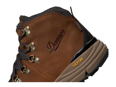 Danner Mountain 600 4.5 In Brown