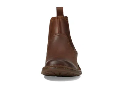Born Hemlock In Brown