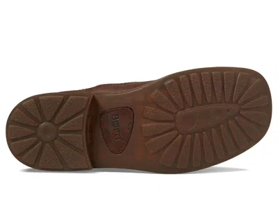 Born Hemlock In Brown