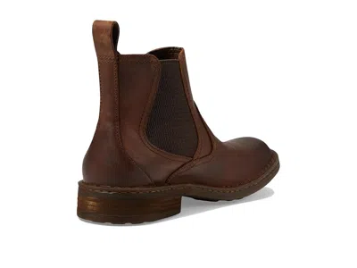 Born Hemlock In Brown