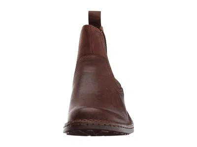 Born Hemlock In Brown