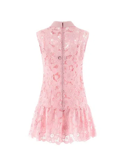 Self-portrait Pink Lace Collared Mini Dress In Multi