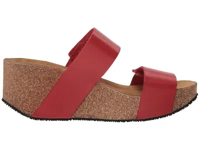 Eric Michael Lily In Red