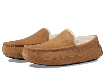 Ugg Ascot Slipper One Pedal Athleisure Casual Sports Shoes Fleece Lined In Multi