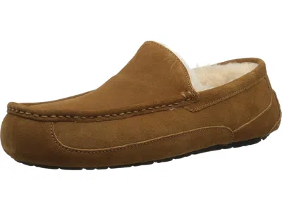 Ugg Ascot Slipper One Pedal Athleisure Casual Sports Shoes Fleece Lined In Multi