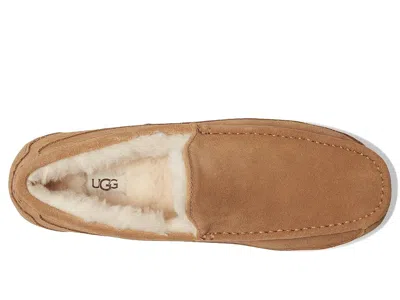 Ugg Ascot Slipper One Pedal Athleisure Casual Sports Shoes Fleece Lined In Multi