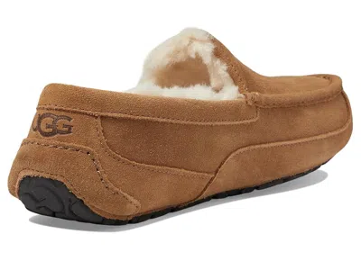 Ugg Ascot Slipper One Pedal Athleisure Casual Sports Shoes Fleece Lined In Multi