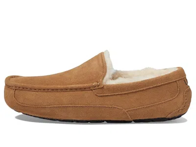 Ugg Ascot Slipper One Pedal Athleisure Casual Sports Shoes Fleece Lined In Multi