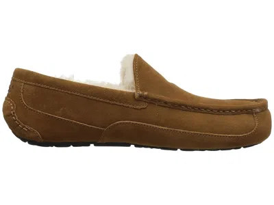 Ugg Ascot Slipper One Pedal Athleisure Casual Sports Shoes Fleece Lined In Multi
