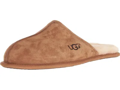 Ugg Scuff In Brown