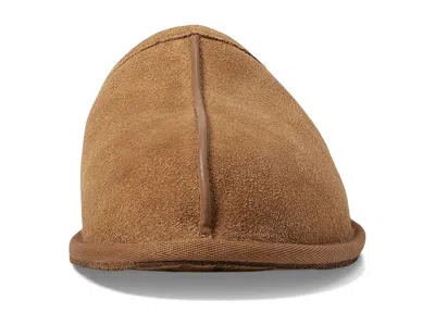 Ugg Scuff In Brown