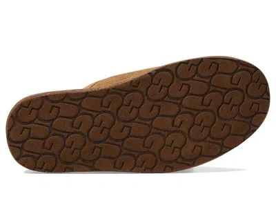 Ugg Scuff In Brown