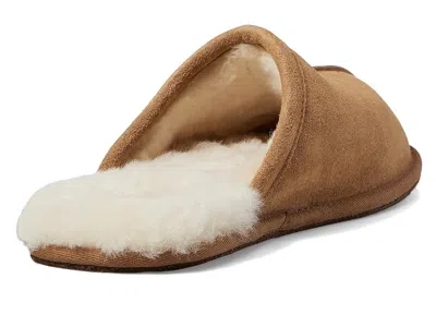 Ugg Scuff In Brown