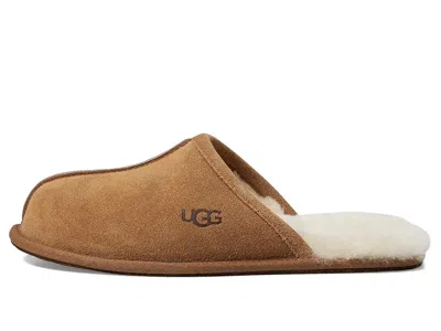 Ugg Scuff In Brown