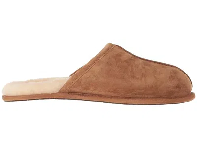 Ugg Scuff In Brown