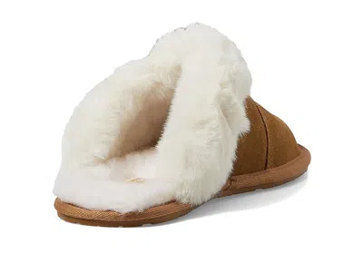 Koolaburra By Ugg Milo In Brown