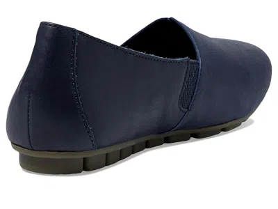 Born Sebra In Blue