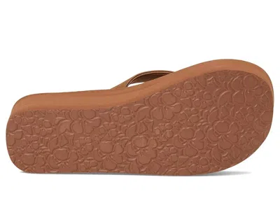 Roxy Melinda In Brown