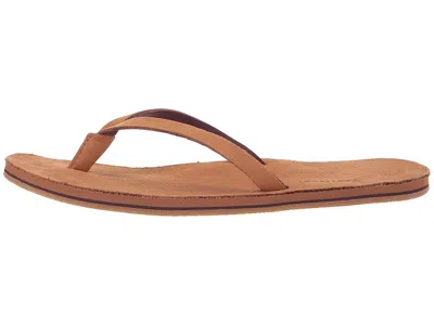 Hari Mari Meadows In Brown