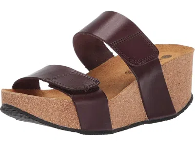 Eric Michael Lily In Brown