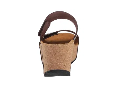 Eric Michael Lily In Brown