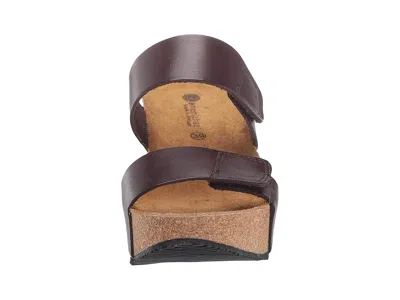 Eric Michael Lily In Brown