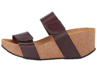 Eric Michael Lily In Brown