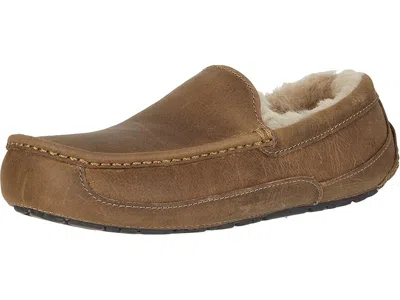 Ugg Ascot Slippers In Animal Print
