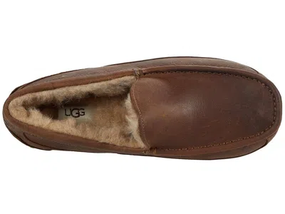 Ugg Ascot Slippers In Animal Print