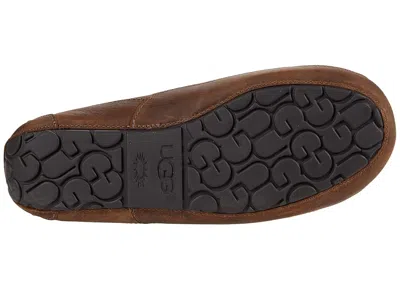Ugg Ascot Slippers In Animal Print