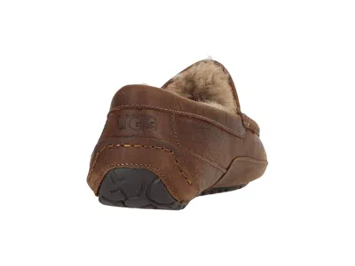 Ugg Ascot Slippers In Animal Print