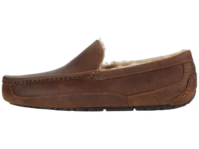 Ugg Ascot Slippers In Animal Print