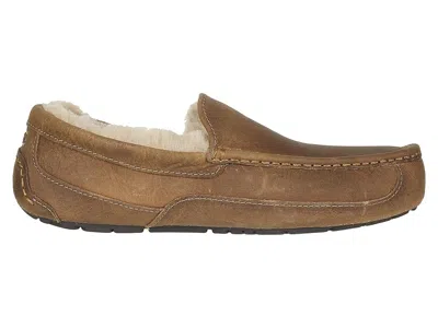 Ugg Ascot Slippers In Animal Print