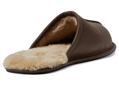Ugg Scuff In Brown