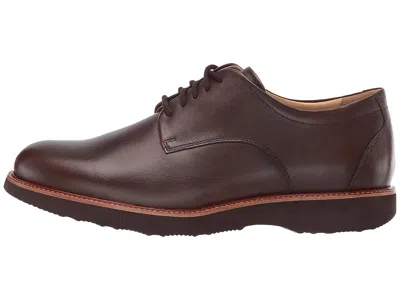 Samuel Hubbard Founder In Brown