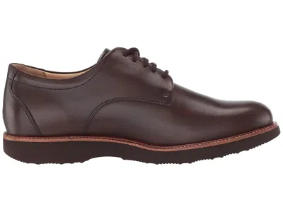 Samuel Hubbard Founder In Brown