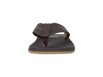 Reef Element Tqt In Brown