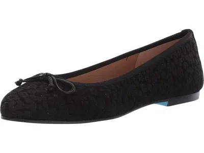 French Sole Nicky Hilton- Paris In Multi