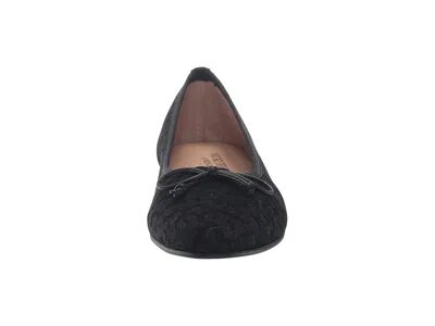French Sole Nicky Hilton- Paris In Multi