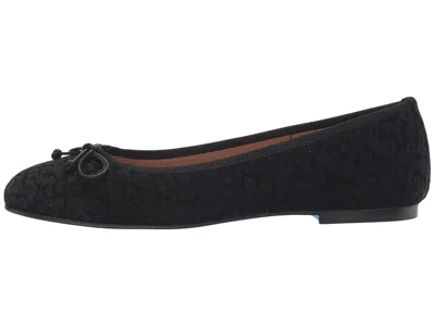 French Sole Nicky Hilton- Paris In Multi